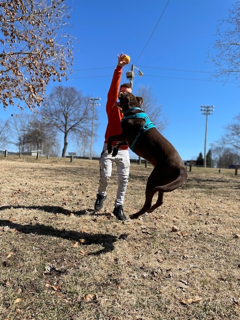 Foto un niño jugando con su cachorro en el parque