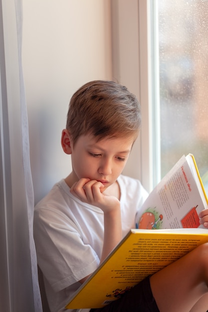 niño leyendo un libro cerca de una ventana