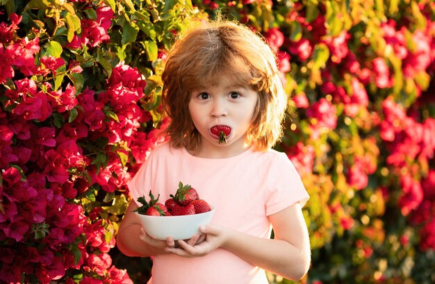 Niño lindo y alegre come fresas el escolar está comiendo comida saludable concepto de infancia feliz