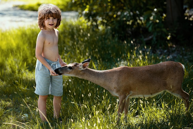 Niño lindo alimentando a un niño bonito cervatillo con un animal elegante en la adaptación de los niños del parque