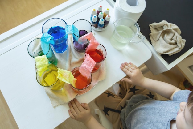 Un niño lindo aprende a mezclar diferentes colores con agua y pintura en recipientes Desarrollo temprano