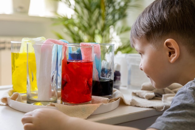 Niño lindo aprendiendo a mezclar diferentes colores con agua y pintura en recipientes Desarrollo temprano Experimentos o observaciones químicas y científicas Niño masculino teniendo clases en casa disfrutando del arte