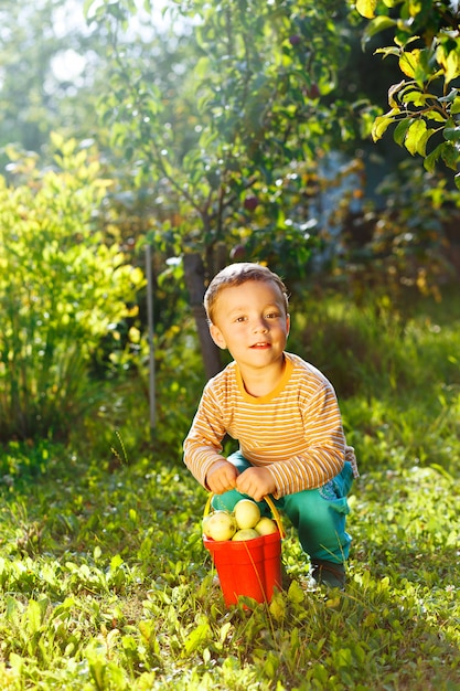 Niño lindo ayudando en el jardín