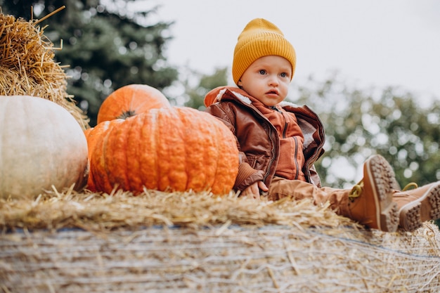 Niño lindo con calabazas de halloween en el rancho