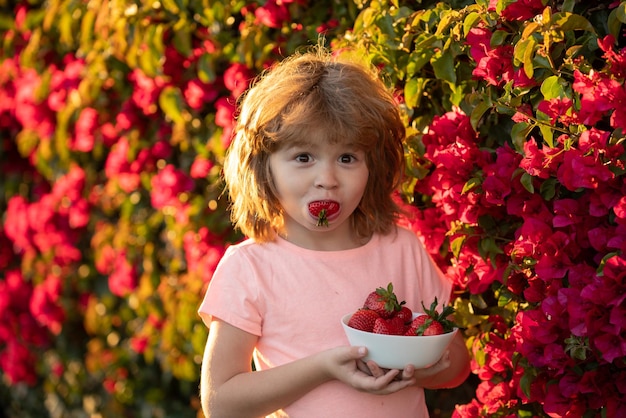 Niño lindo comiendo una fresa Niño pequeño feliz recogiendo y comiendo fresas Retrato divertido de niño