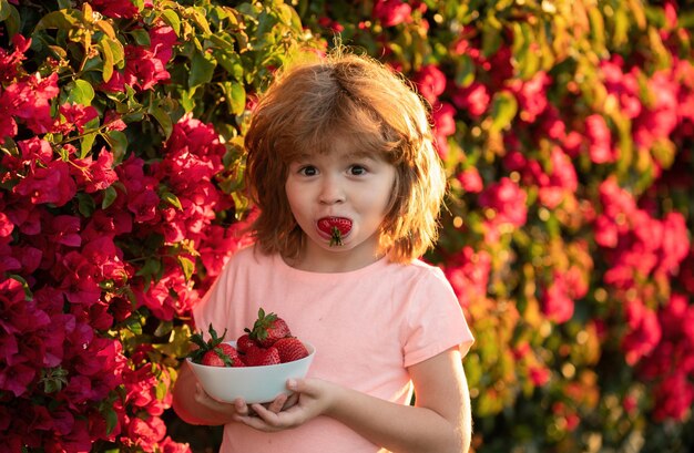 Un niño lindo comiendo una fresa Un niño pequeño feliz recogiendo y comiendo fresas