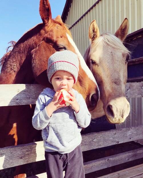 Niño lindo comiendo manzana mientras está de pie junto a los caballos
