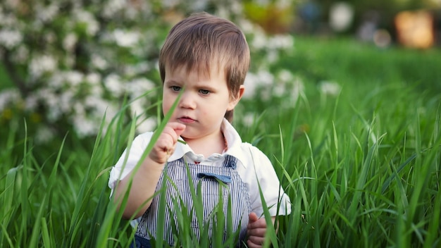 Un niño lindo con un mono azul y ojos azules juega gracioso en la hierba verde alta en un parque en flor verde