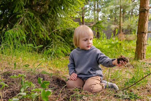 Niño lindo niño niño pequeño plantar plántulas de fresas en suelo en jardín orgánico agricultura forestal cultivo ecología eco amigable agricultura infancia divertida en concepto de primavera verano