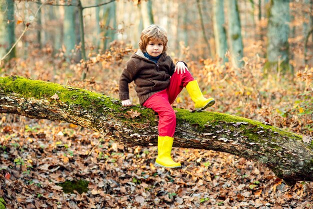 Niño lindo en el parque de otoño adorable niño feliz jugando en hojas de otoño al aire libre