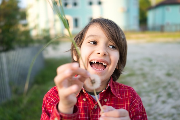 Niño lindo en prado con dientes de León