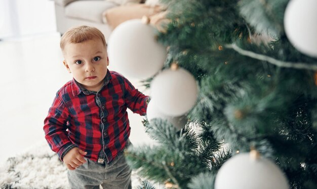 Un niño lindo con ropa festiva está adentro cerca del árbol de navidad en el tiempo de Año Nuevo