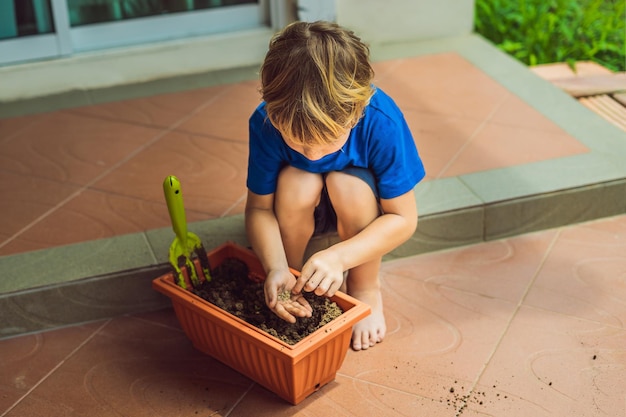 Un niño lindo siembra semillas en una maceta en el jardín
