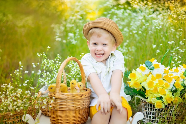 Un niño lindo con un sombrero está jugando con patitos en sus manos sobre un fondo brillante en el verano en un parque en la naturaleza Un niño pequeño con muchos patitos amarillos en un campo de margaritas