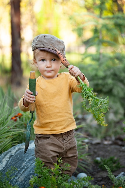 Niño lindo con zanahoria y pala en el jardín