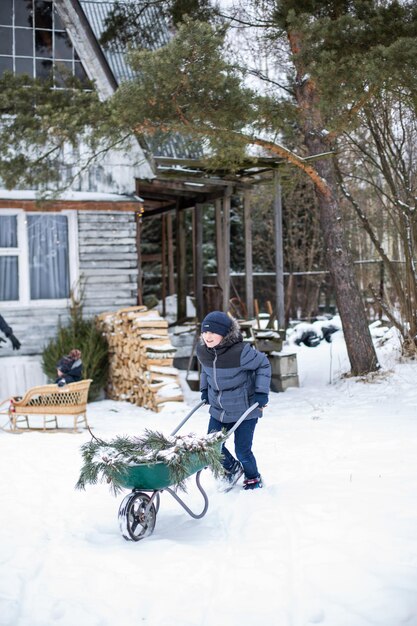 Un niño lleva un árbol de Navidad en un trineo a casa