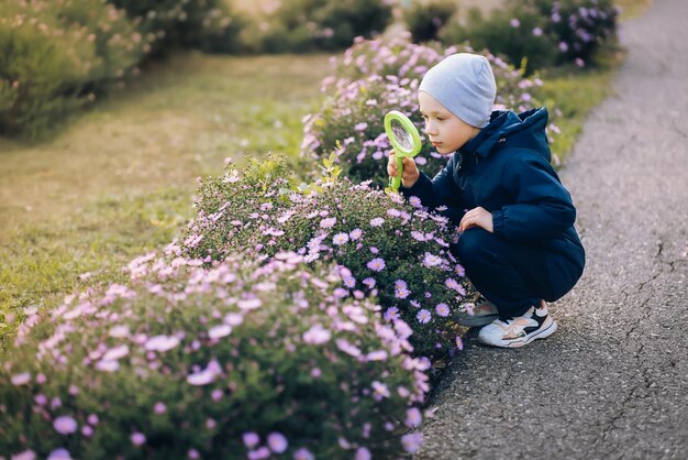 niño con lupa examina flores