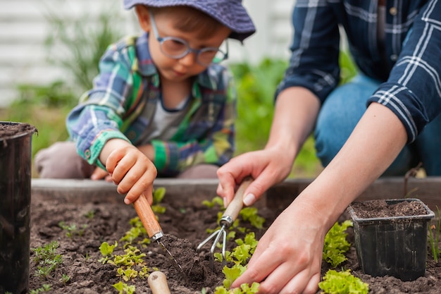 Niño y madre jardinería en huerto en el patio trasero