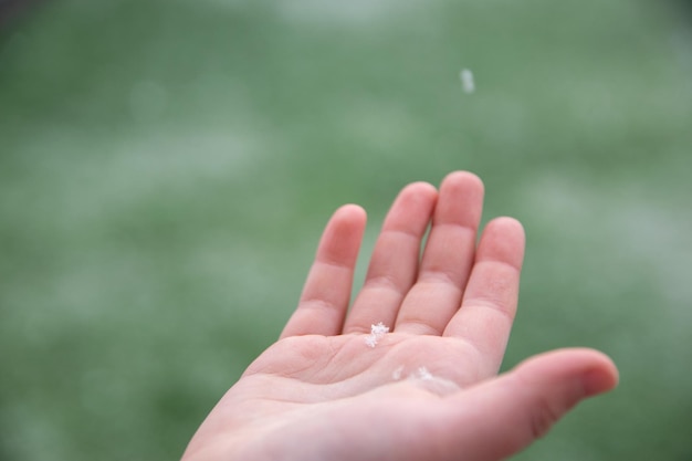 Niño con la mano abierta con un copo de nieve blanco en el fondo verde natural