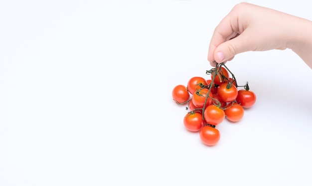 Niño mano sosteniendo pequeños tomates cherry orgánicos rojos sobre fondo blanco Concepto de alimentación saludable