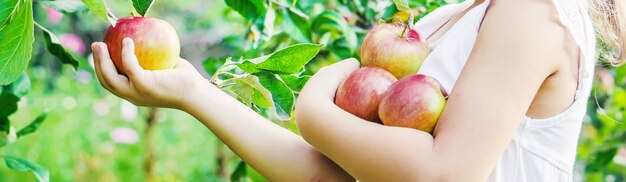 Niño con una manzana. Enfoque selectivo Jardín.