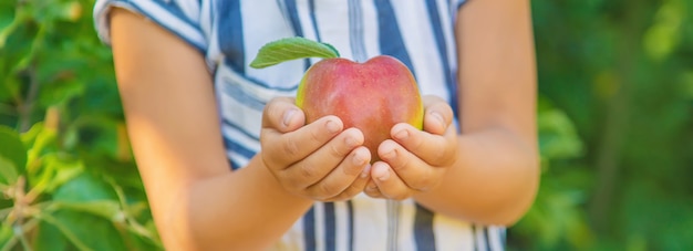 Niño con una manzana en el jardín