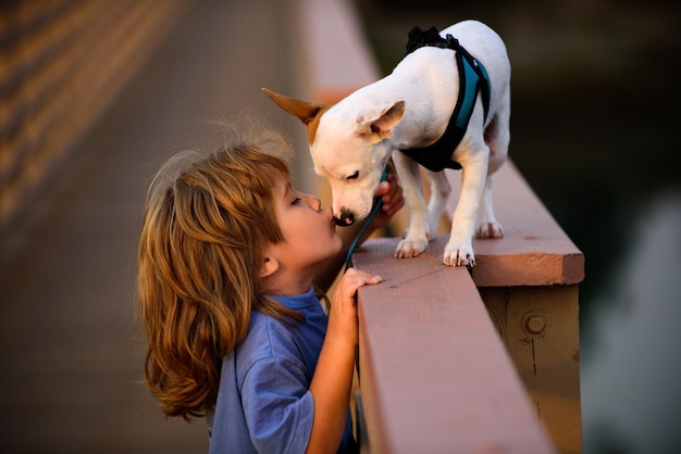 niño, con, mascota, perrito, niño, besar, perro