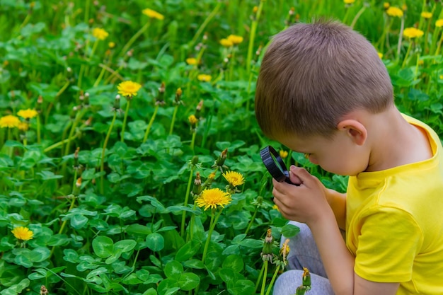 El niño mira a través de una lupa las flores Zoom in