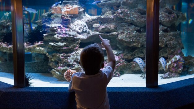 Niño mirando el acuario