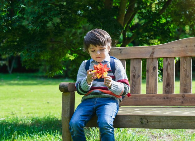 Niño mirando la hoja de arce en su mano sentado en un banco de madera en el parque con árbol de otoño borrosa