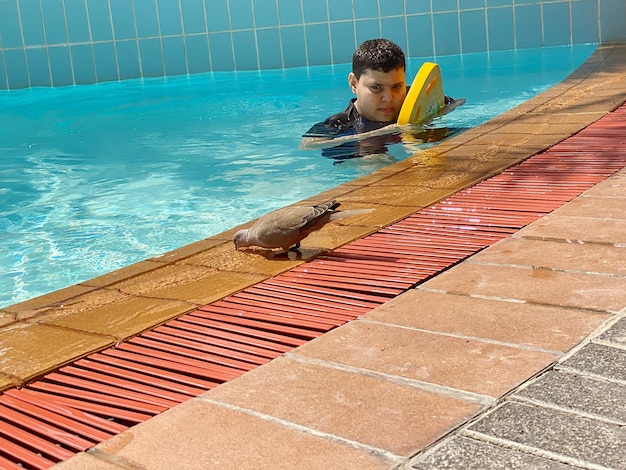 Foto niño mirando a un pájaro mientras se relaja en la piscina