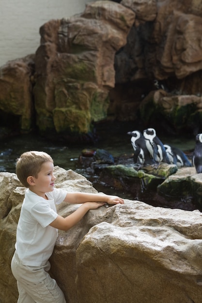 Niño mirando pingüinos