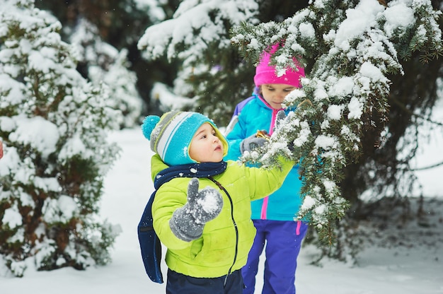 El niño en la nieve en el parque. Un niño juega en Winter Park. Adorable niño caminando en el bosque de invierno de nieve
