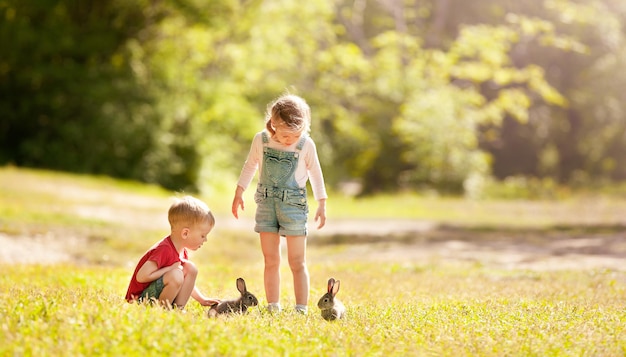 Un niño y una niña juegan con conejos en un claro soleado