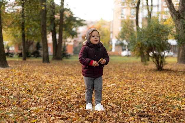 Niño niño feliz juega con hojas amarillas en un día soleado de otoño.