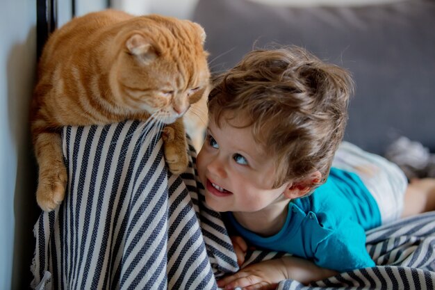 Niño niño juega con un gato Scottish Fold en casa