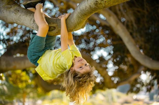 Niño niño jugando y trepando a un árbol y rama colgante niño jugando y trepando a un árbol y han