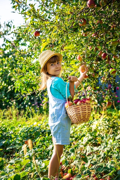 Niño con niño con una manzana Enfoque selectivo Comida de jardín