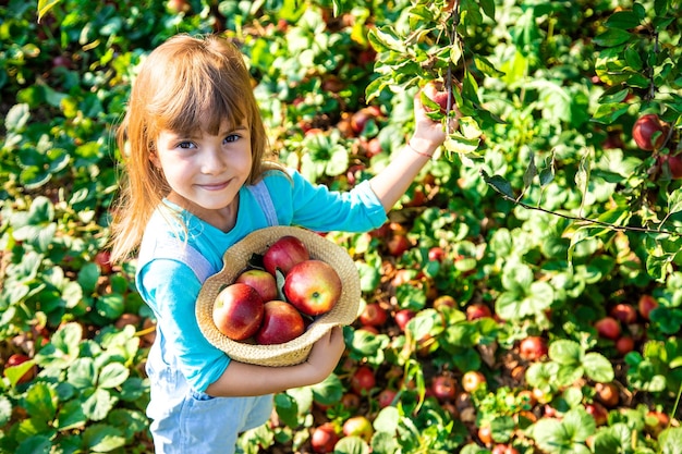 niño con niño con una manzana enfoque selectivo jardín