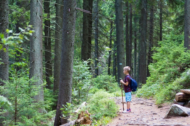 Niño niño con mochila de excursionista y palo de pie solo en camino en bosque de pinos