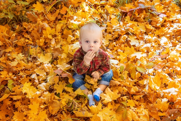 Niño niño en el parque en otoño las hojas. Enfoque selectivo.