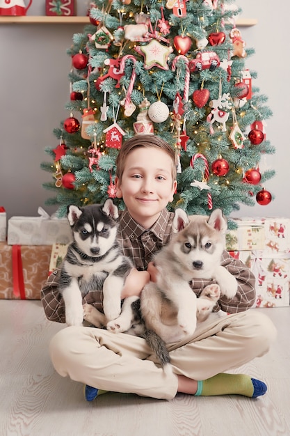 Niño niño con perros husky cachorros y árbol de Navidad.