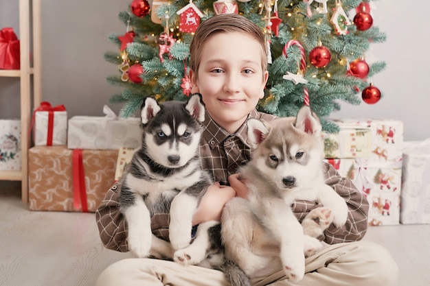 Niño niño con perros husky cachorros y árbol de Navidad.