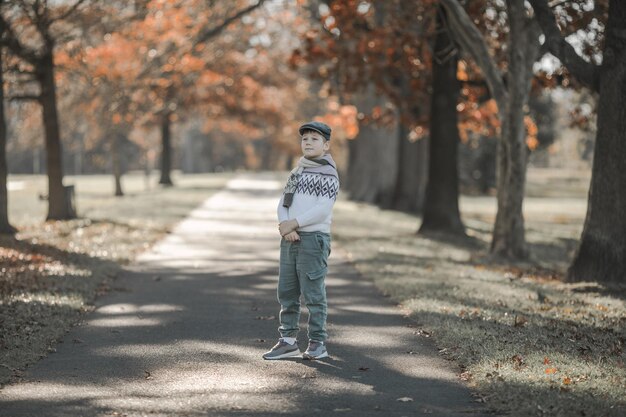 Niño de otoño caminando hacia el callejón de los árboles dorados Follaje con fondo de árboles de otoño paisaje hojas de arce