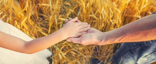 Foto niño y padre en un campo de trigo.