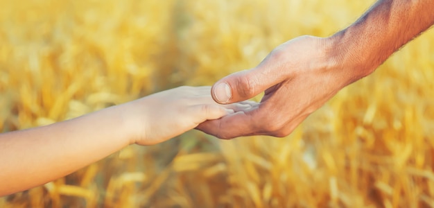 Niño y padre en un campo de trigo.