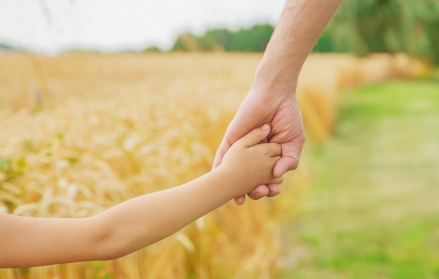 Niño y padre en un campo de trigo.