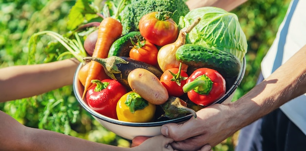 Niño y padre en el jardín con verduras en sus manos