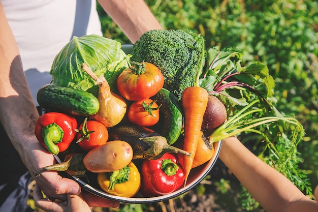 Niño y padre en el jardín con verduras en sus manos.