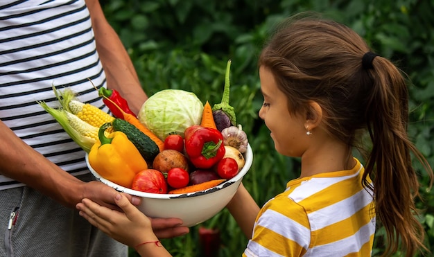 Niño y padre tienen verduras frescas en sus manos Enfoque selectivo